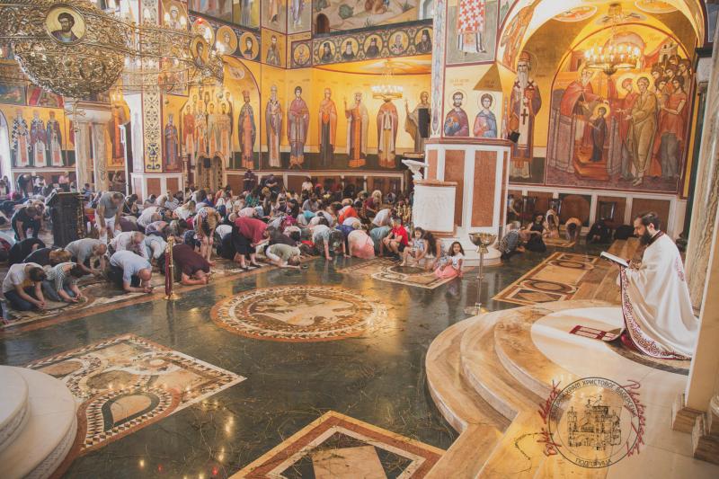 Протојереј Мирчета Шљиванчанин: Прибјегавајмо благодати Духа Светога, чувајући јединство Цркве и јединство народа