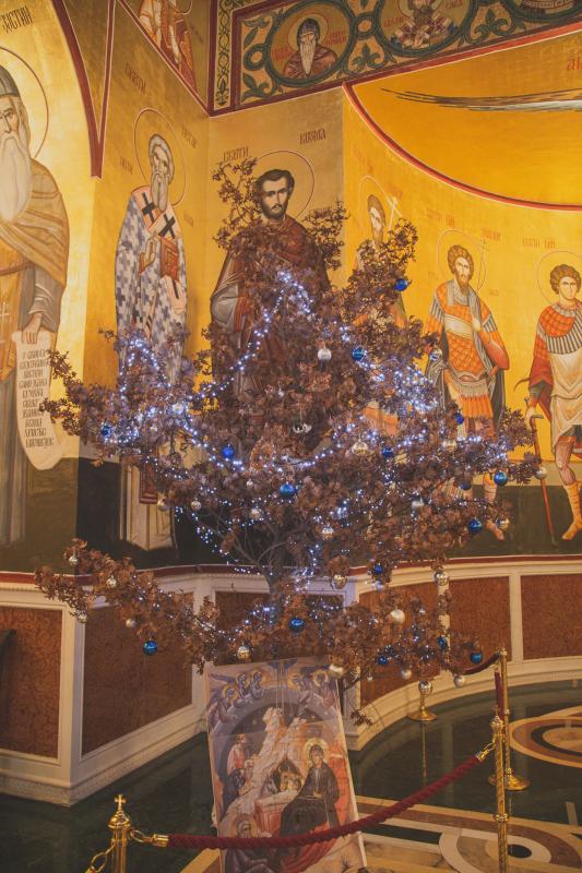 Протојереј Предраг Шћепановић: Христос нам је својим рођењем даровао живот вјечни