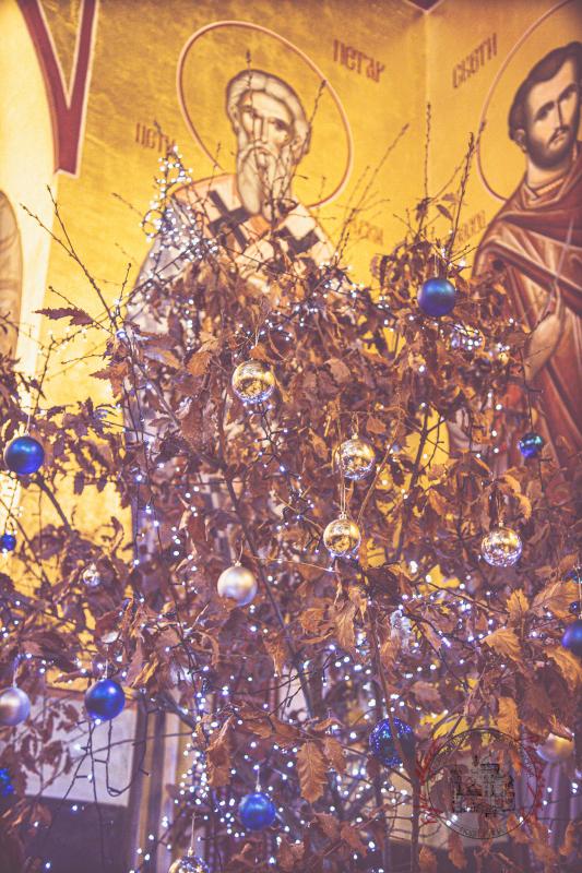 Протојереј Предраг Шћепановић: Нека рођење Христово у нама роди љубав и заједништво који су потребни Црној Гори